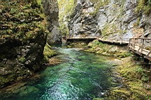 2014-10-039389.JPG