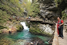 2014-10-039390.JPG