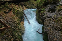 2014-10-039391.JPG