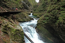 2014-10-039392.JPG