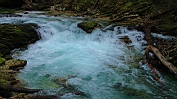 2014-10-039394.JPG