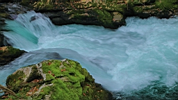 2014-10-039397.JPG
