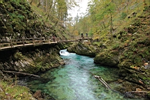 2014-10-039398.JPG