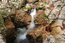 2014-10-049403.JPG