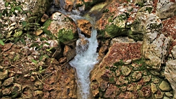 2014-10-049404.JPG