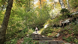 2014-10-049406.JPG