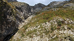 2014-10-049413.JPG