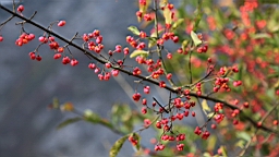 2014-10-049423.JPG