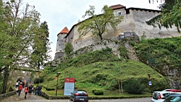 2014-10-049435.JPG
