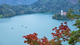 2014-10-049438.JPG