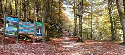 20141004_130635.jpg