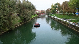 2014-10-059533.JPG