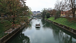 2014-10-059536.JPG