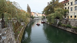 2014-10-059543.JPG