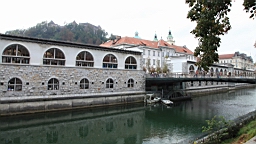 2014-10-059554.JPG