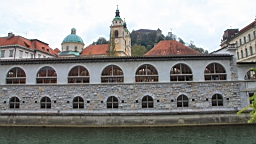 2014-10-059562.JPG