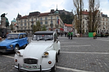 2014-10-059565.JPG