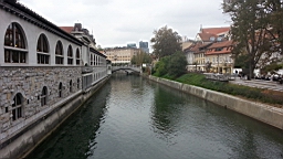 20141005_122801.jpg