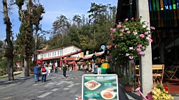 2014-10-069607.JPG