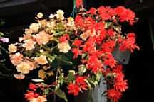 2014-10-069608.JPG