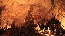 2014-10-069624.JPG