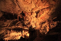 2014-10-069630.JPG