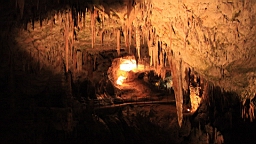 2014-10-069634.JPG