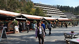 2014-10-069670.JPG