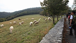2014-10-069674.JPG