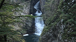 2014-10-069676.JPG