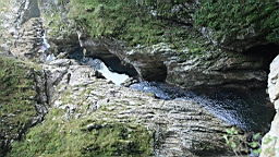 2014-10-069678.JPG