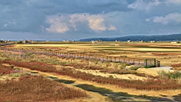 2014-10-079709.JPG