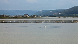 2014-10-079713.JPG