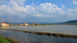 2014-10-079714.JPG