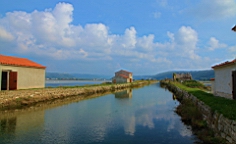 2014-10-079716.JPG