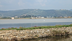 2014-10-079719.JPG
