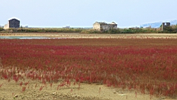 2014-10-079729.JPG