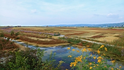 2014-10-079730.JPG