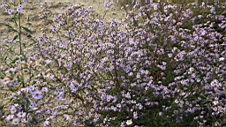 2014-10-079731.JPG