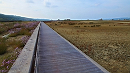 2014-10-079733.JPG