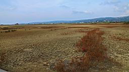 2014-10-079734.JPG