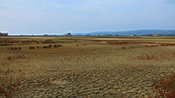 2014-10-079735.JPG