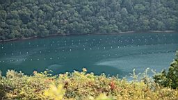 2014-10-079738.JPG