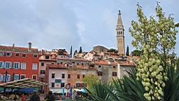 2014-10-089753.JPG