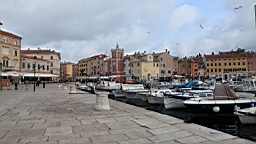 2014-10-089767.JPG