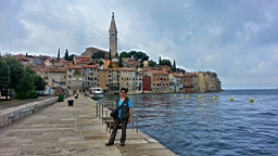 20141008_100335_2_bestshot.jpg
