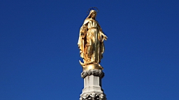 2014-10-099830.JPG