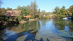2014-10-099850.JPG