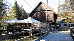 2014-10-099851.JPG