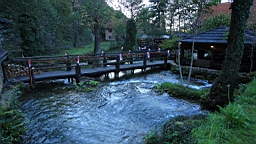 2014-10-099854.JPG